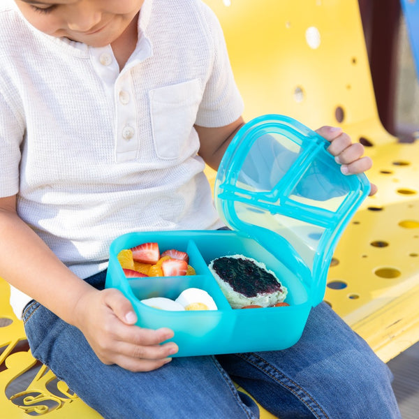 Bumkins 3 section jelly bento THE LUNCHBOX QUEEN NZ The Lunchbox Queen