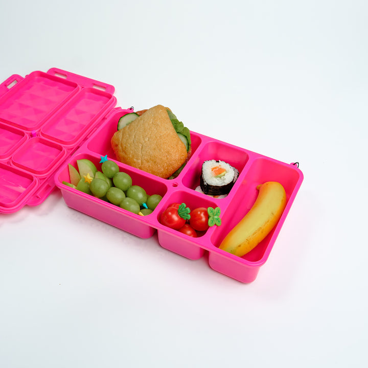 Go Green | Large Food Box