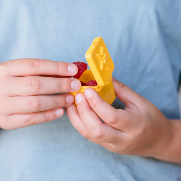 Bento Surprise Boxes For dips, sauce, treats THE LUNCHBOX QUEEN NZ
