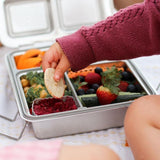 NZ best stainless steel lunchbox little lunchbox co maxi leakproof bento box planetbox rover sale discount code bento ninja