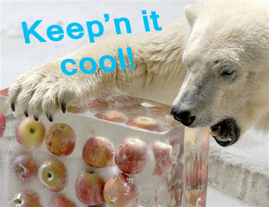 How to Keep Lunchboxes cool in Summer NZ Australia