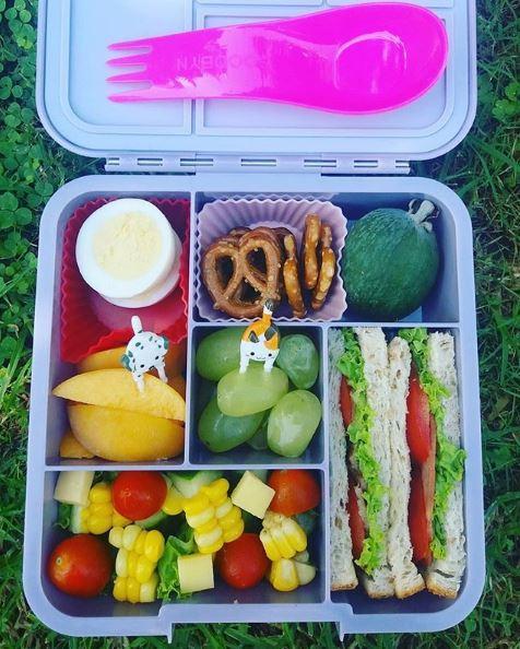 NZ best bento box lunchbox