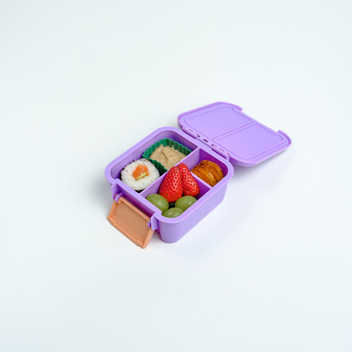 MontiiCo | Bento Two