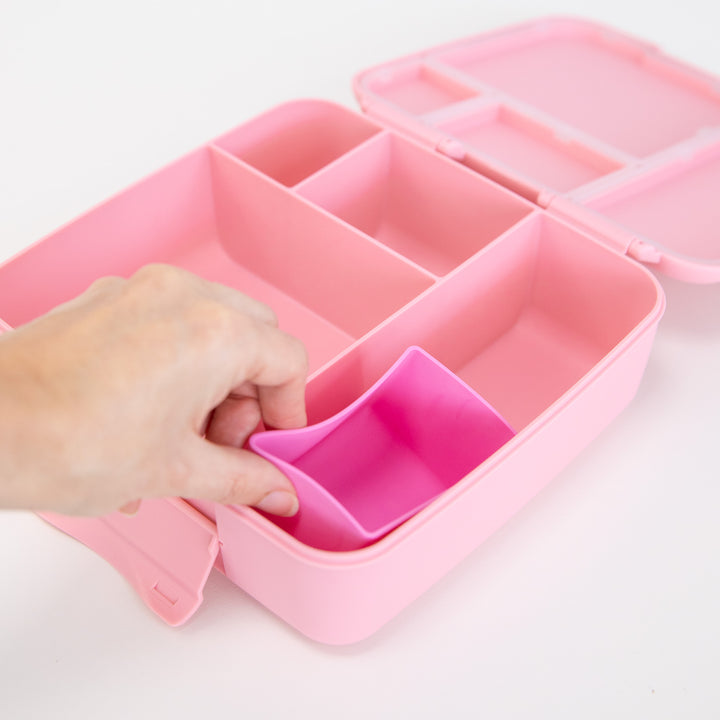MontiiCo | Feast Bento