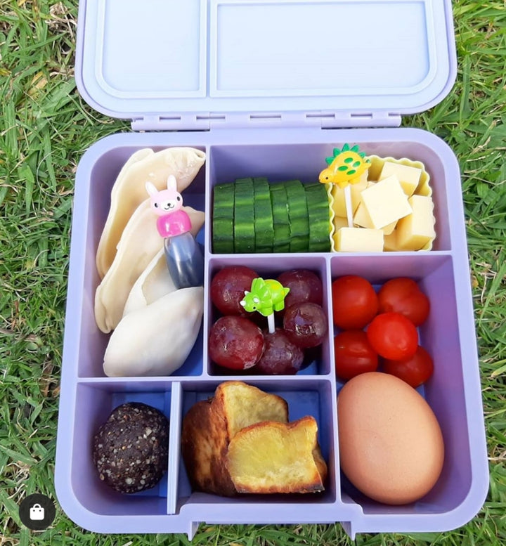 NZ dino dinosaur lunchbox food picks sticks skewers NZ best sale ini dinosaur food picks bento lunchbox sale