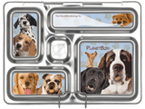 lunchbox NZ - The Lunchbox Queen, NZ's home of PlanetBox