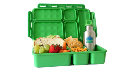 Go Green | Large Food Box - assorted colours