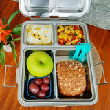 NZ best stainless steel lunchbox little lunchbox co maxi leakproof bento box planetbox rover sale discount code bento ninja