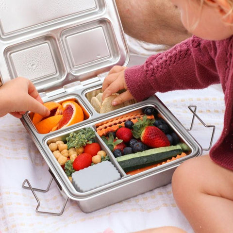 PlanetBox Rover Stainless Steel Bento Lunch Box with 5 Compartments for  Adults and Kids, Sharks Carry Bag and Magnets