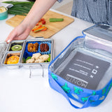 Little Lunchbox Co. | Bento Stainless Maxi