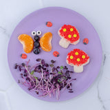 NZ best fairy sandwich cookie cookies cutter playdough cutter toadstool sale discount code best kids lunch punch