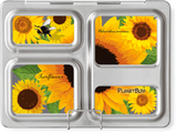 NZ PlanetBox Rover Launch lunchbox best stainless steel kids adults lunch box NZ sale cheap second hand discount code lunchbox queen bento ninja nestling