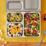 NZ PlanetBox Rover Launch lunchbox best stainless steel kids adults lunch box NZ sale cheap second hand discount code lunchbox queen bento ninja nestling