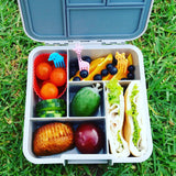 Little Lunchbox Co. | Bento Five - assorted designs